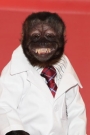 Crystal the Monkey Film ve Dizileri