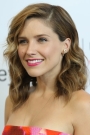 Sophia Bush Film ve Dizileri