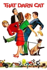 Ah Şu Kedi (1965)