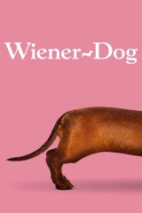 Sosis Köpek