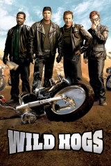 Çılgın motorcular